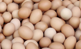 eieren een bron van eiwitten
