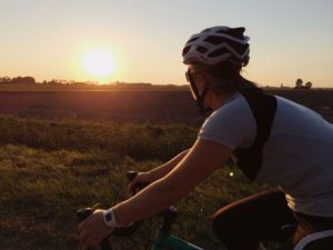 fiets door polder